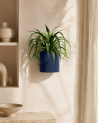 Vaso TERRA